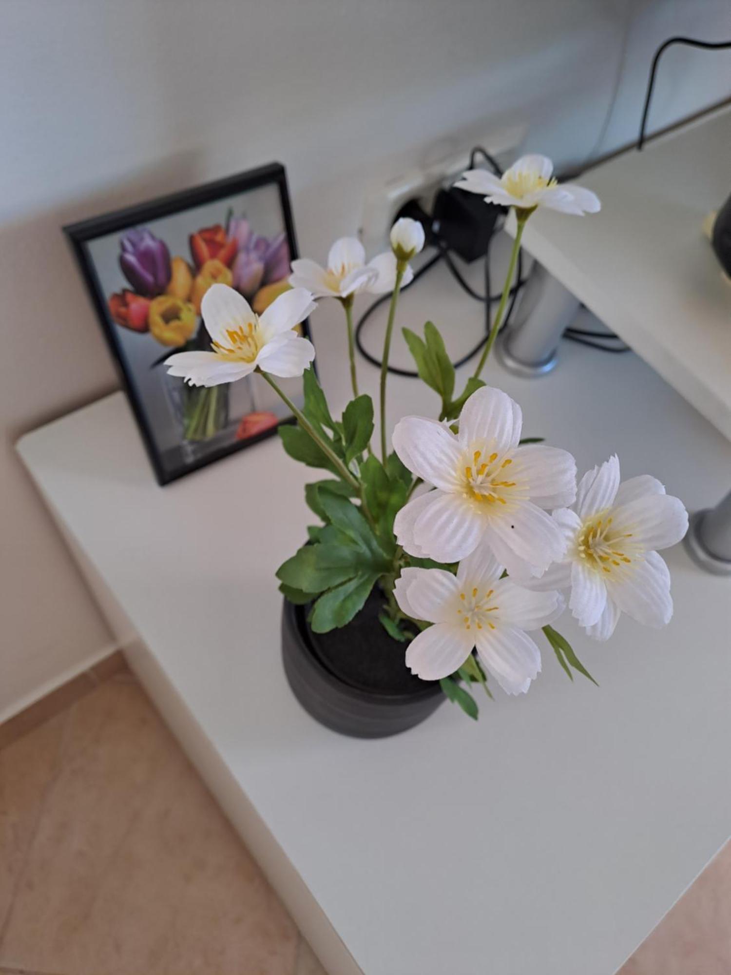Apartman Valbandon Фажана Экстерьер фото